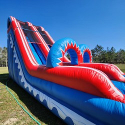 8070152638824225186 1743091658 SURF-N-USA